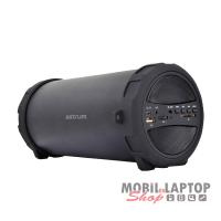 Astrum SM300 hordozható bluetooth hangszóró FM rádióval, micro SD olvasóval, AUX, 10W, A12530-B