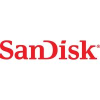 Sandisk 256GB USB3.1/Type-C Dual Drive Luxe Ezüst (186465) Flash Drive